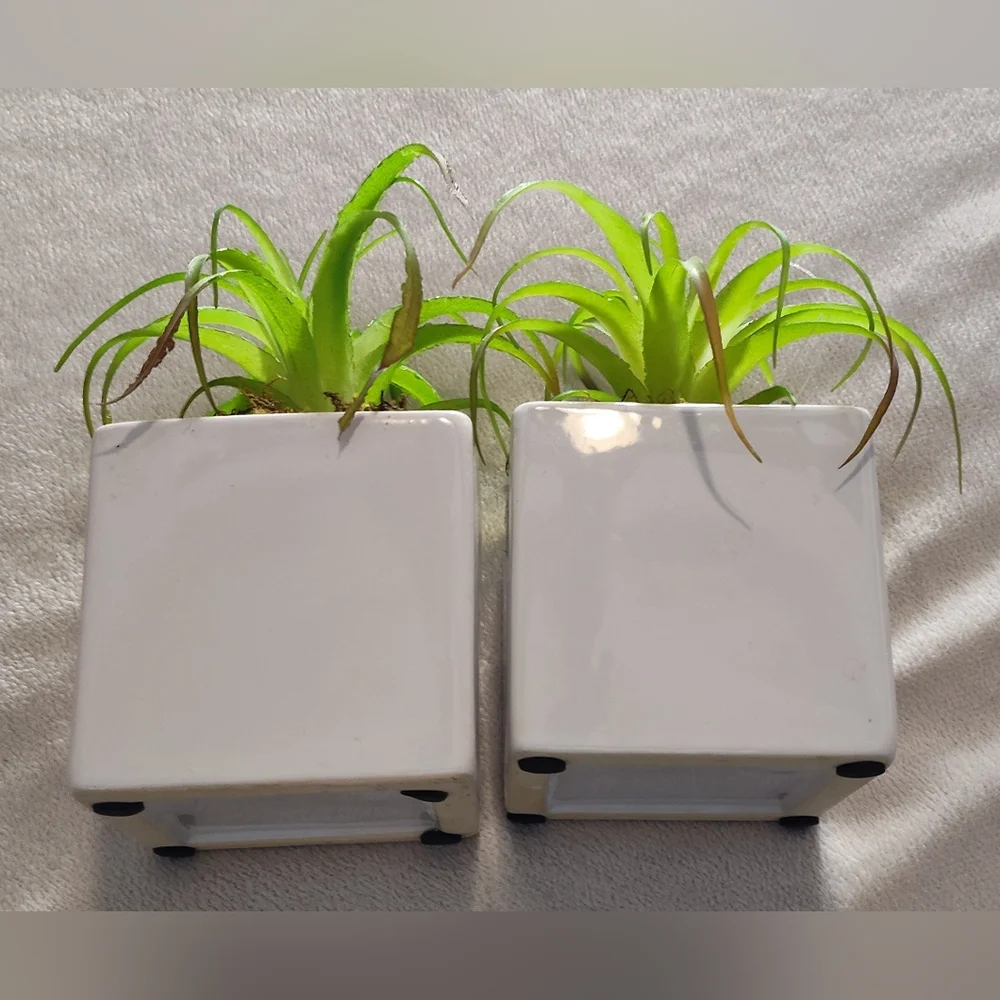 2 Green Faux Succulent in White Planter Set